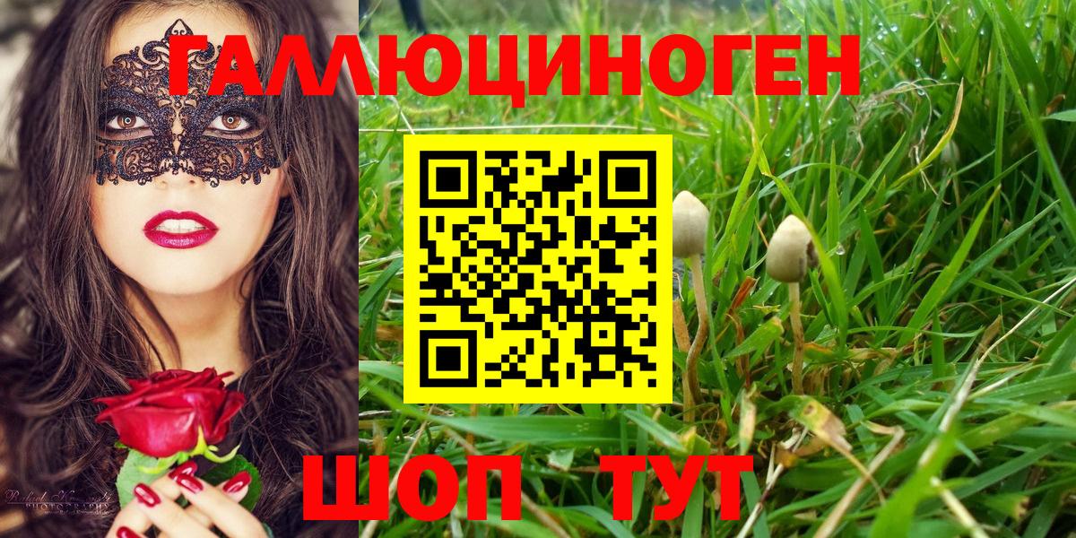 Галлюциногенные грибы MAGIC MUSHROOMS  где можно купить наркотик  Вход с VPN  Вольск  Галлюциногенные грибы мицелий 